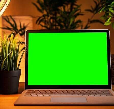 pc-schermo-interamente-verde-chiaro (1)